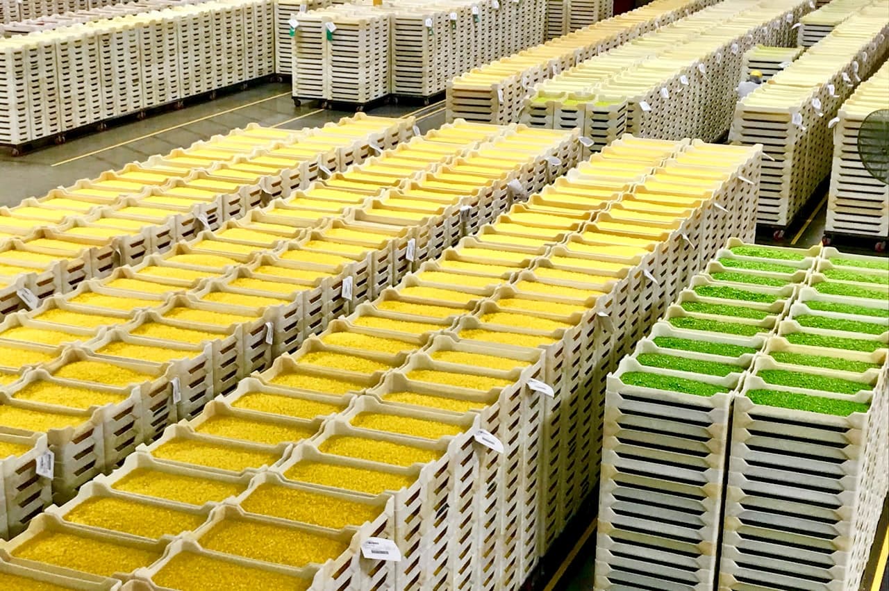 Warehouse operator